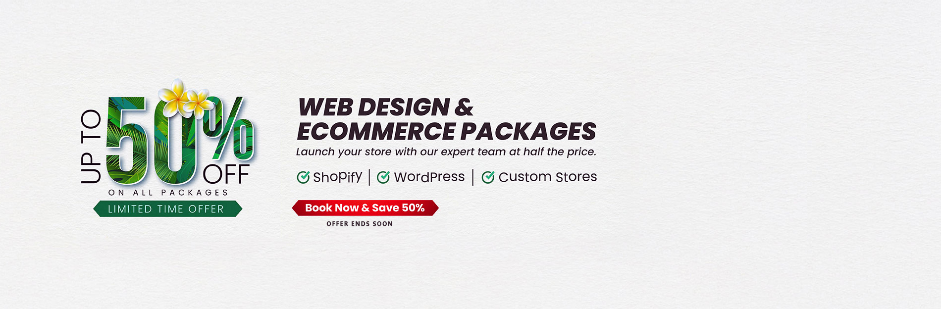 Web Design Offer