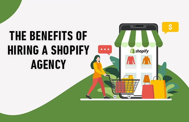 Shopify Development in USA for Small or Dropshipping Business