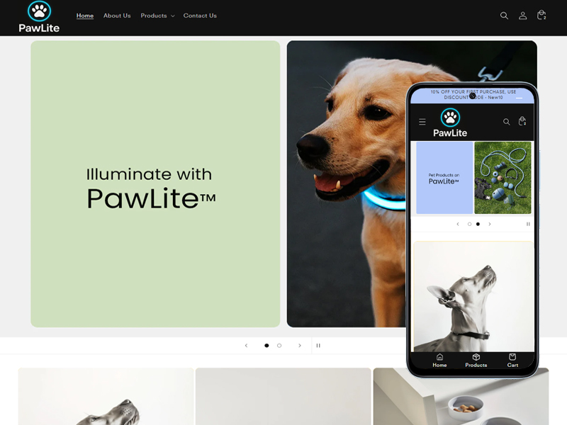 Our Portfolio